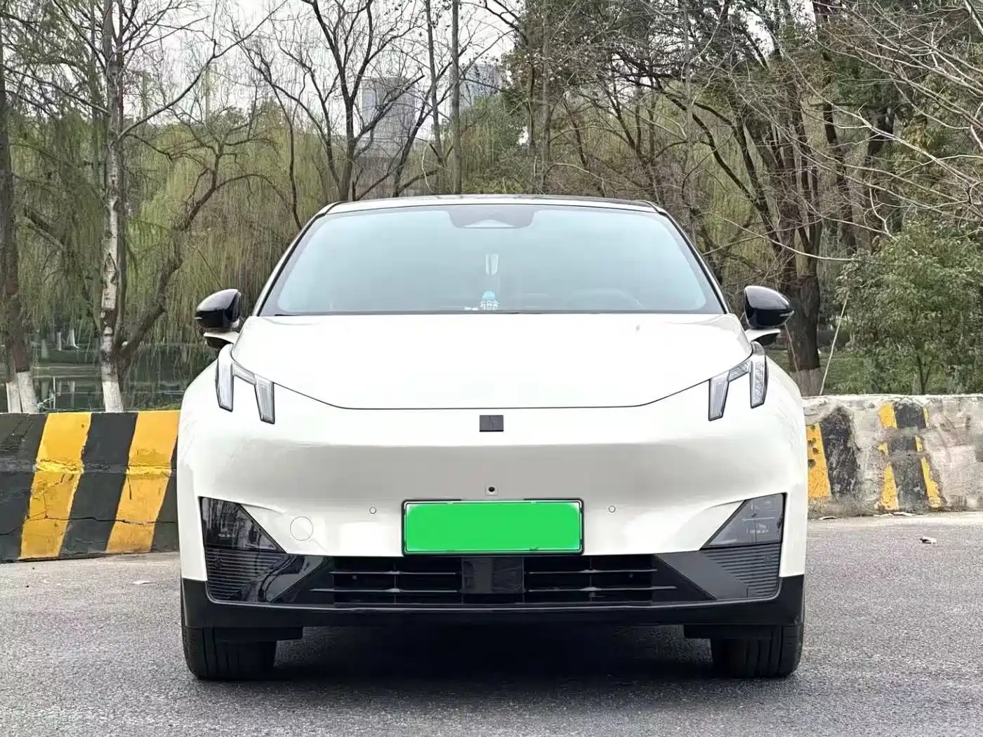 Lynk & Co Z20 2025 530km RWD Pro фото 2