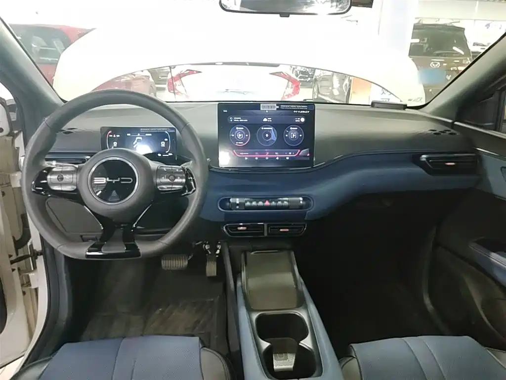 BYD Seagull 2023 Vitality Edition фото 10