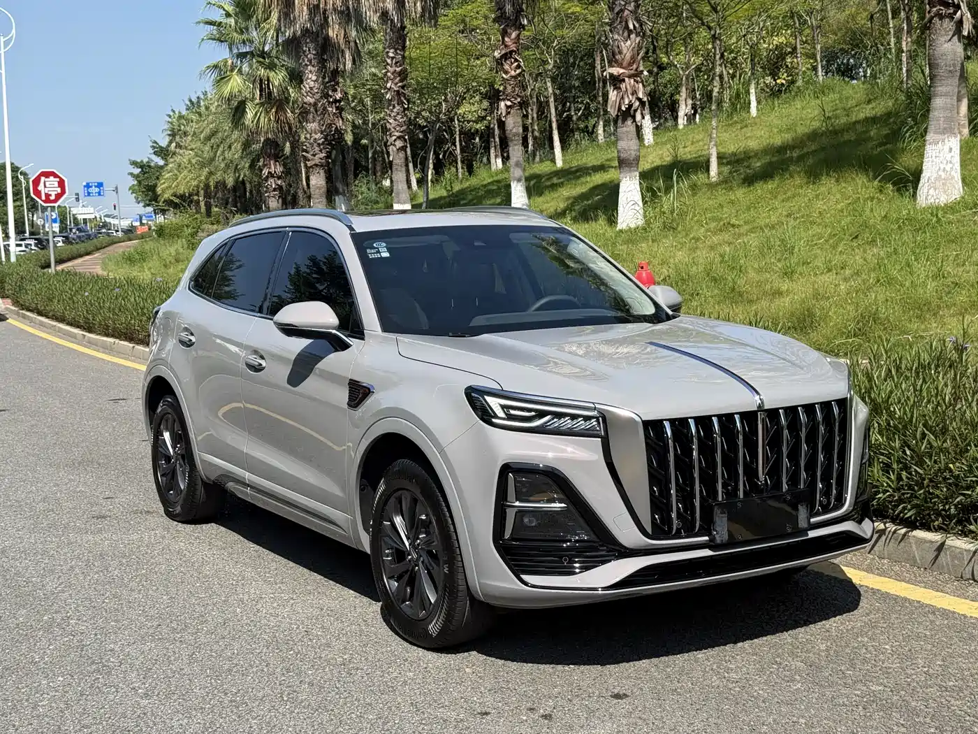 Hongqi HS5 2023 2.0T Flag Enjoy Pro Edition фото 3