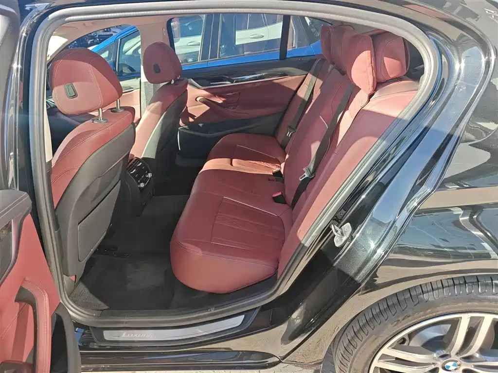 BMW 5 Series 2021 Facelift 530Li Leading Luxury Package фото 13