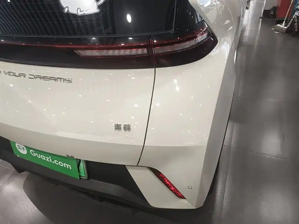 BYD Seagull 2024 Glory Edition 305km Freedom Edition фото 8