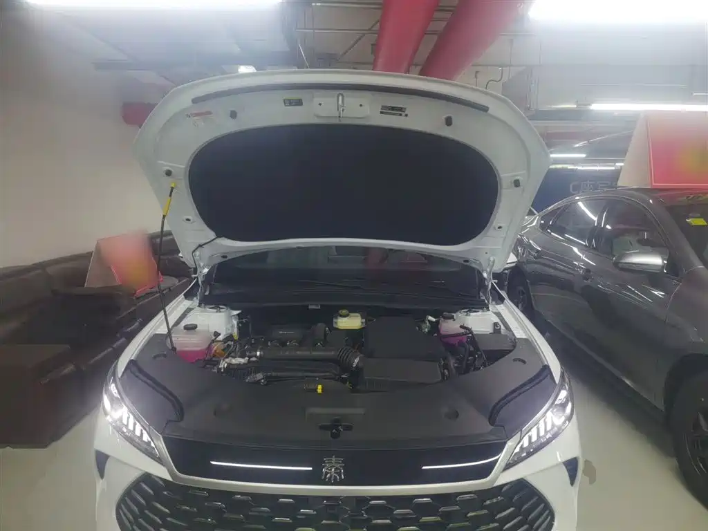 BYD Qin PLUS 2026 DM-i Smart Edition 128KM Progressive фото 20