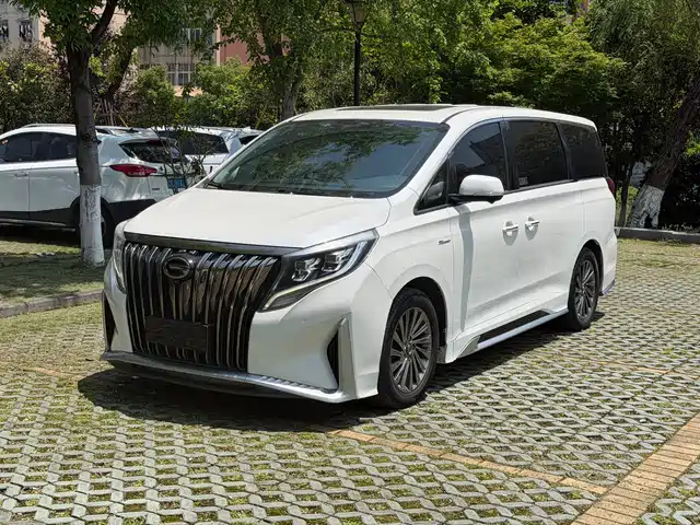 Trumpchi M8 Мастер, 390T, Максимум