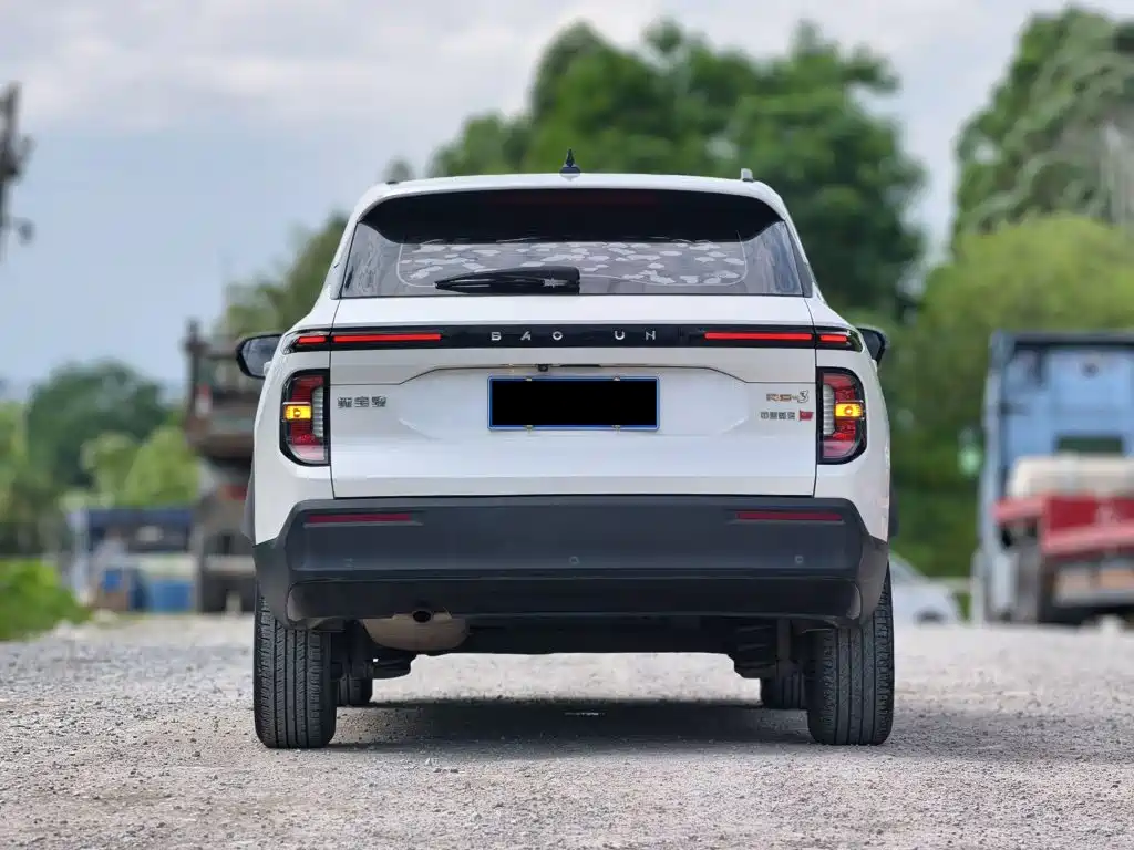 Фото 9 - Baojun RS-3