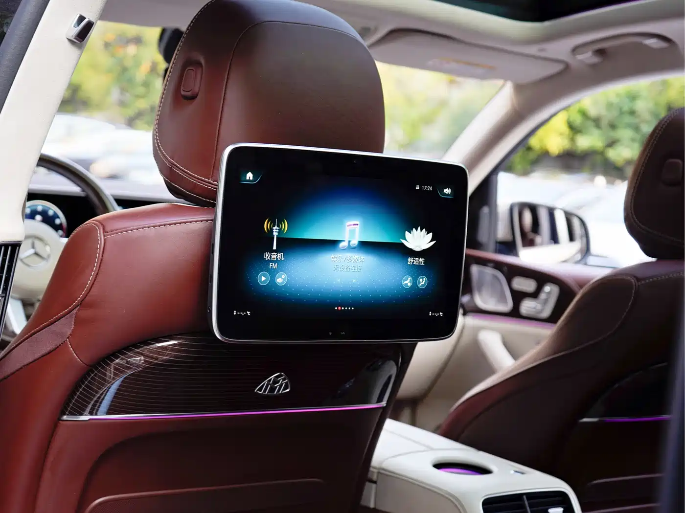Mercedes-Benz Maybach GLS 2021 GLS 480 4MATIC фото 15