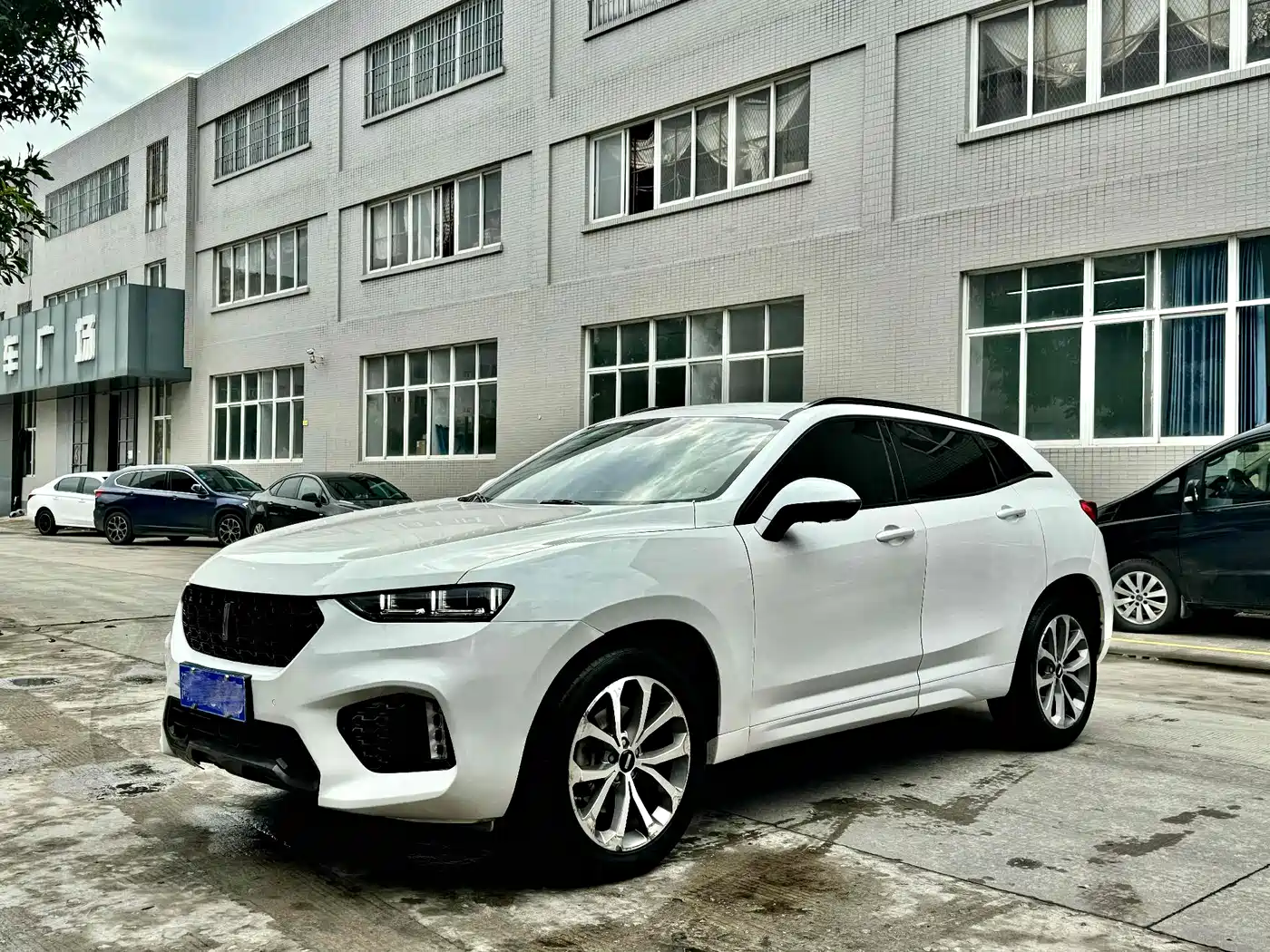 WEI PAI WEI BRAND VV7