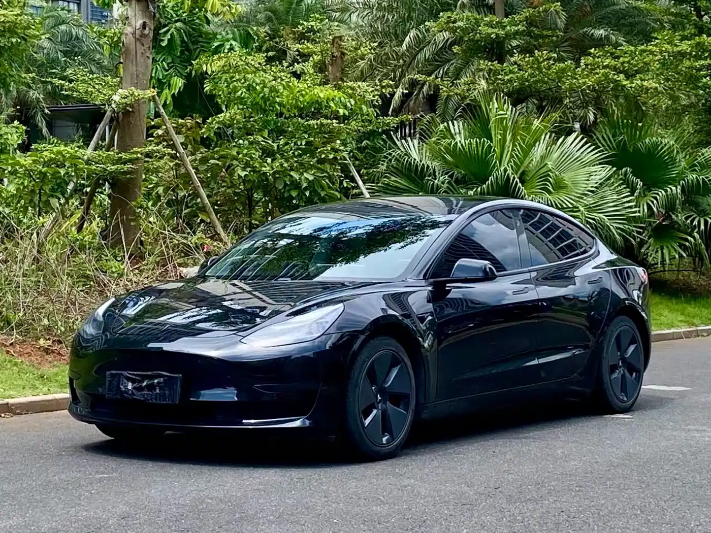 Tesla Model 3 2021 Standard Range Rear-Wheel Drive Upgrade
