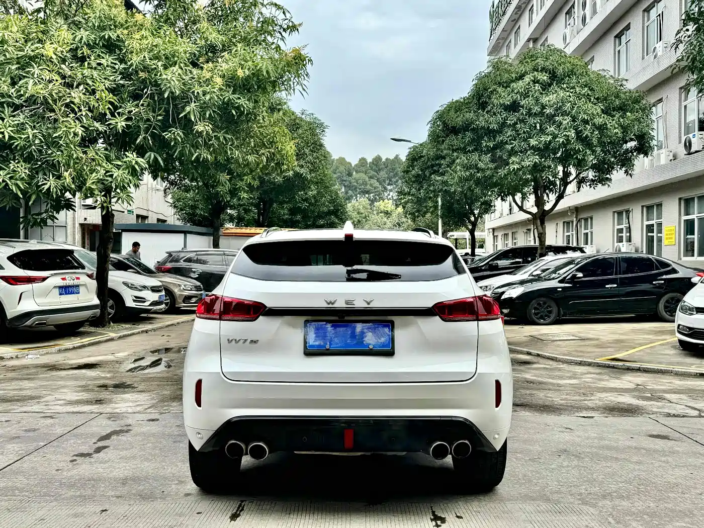 WEI PAI WEI BRAND VV7