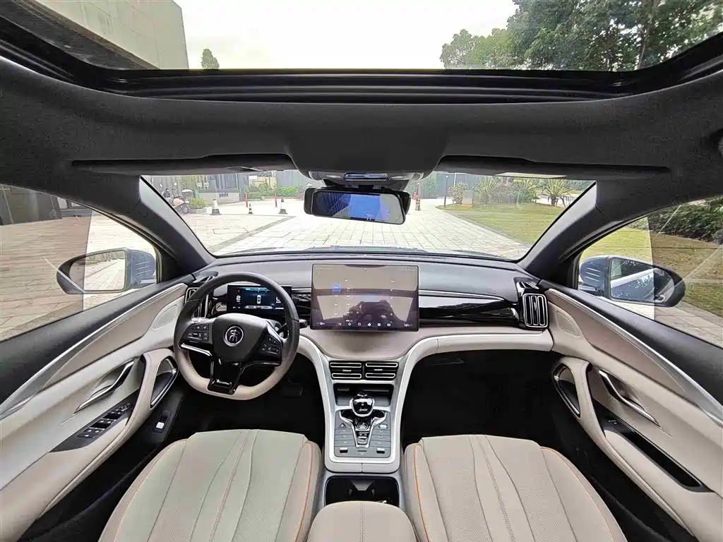 BYD Song Pro New Energy 2024 Glory Edition DM-i 110KM Excellence фото 11