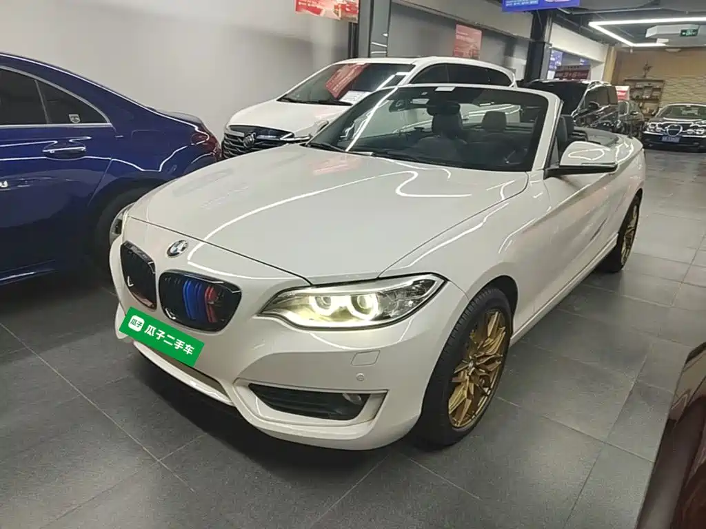 BMW 2 Series (Import) 2016 2015 220i Convertible Coupe Leading