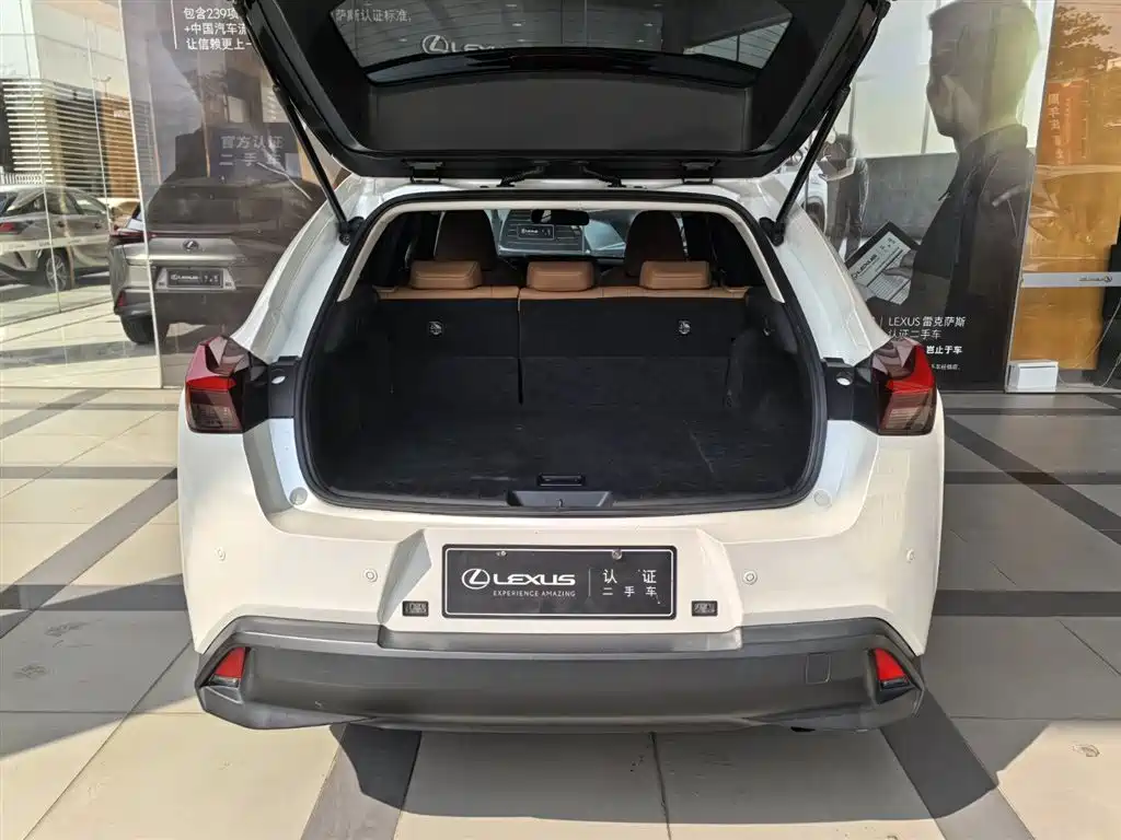 Lexus UX 2022 260h Cool Edition фото 7