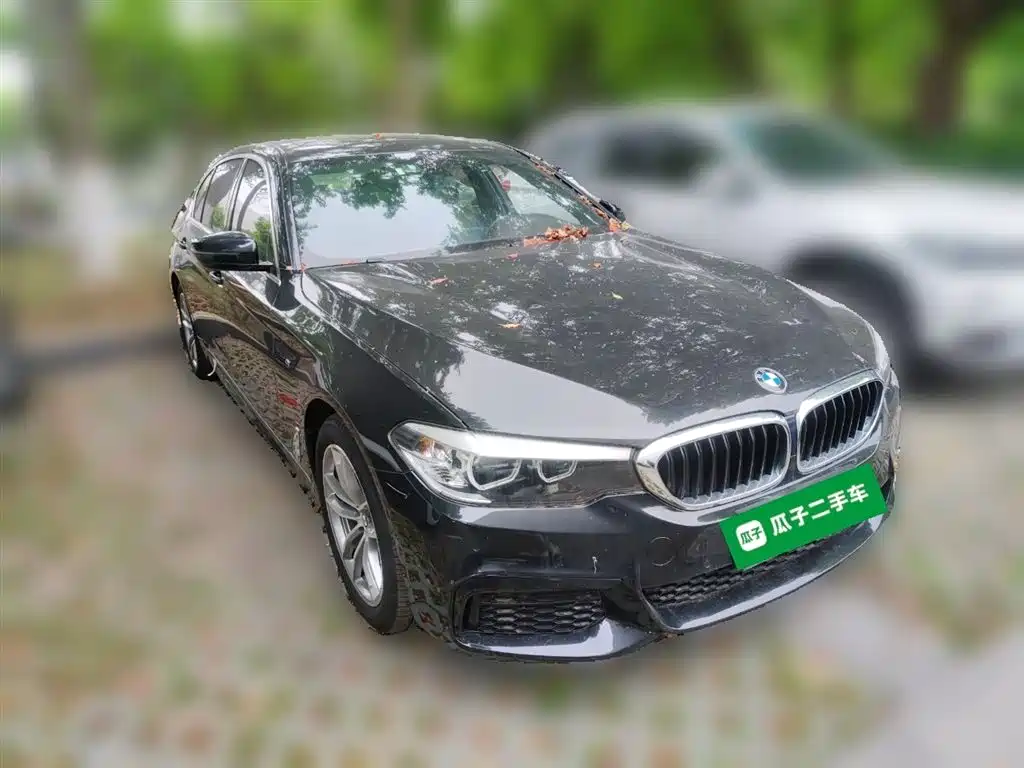 BMW 5 Series 2020 525Li M Sport Package фото 6