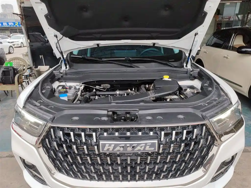 Haval H6 2023 National Trend Edition 1.5T Automatic Urban фото 20