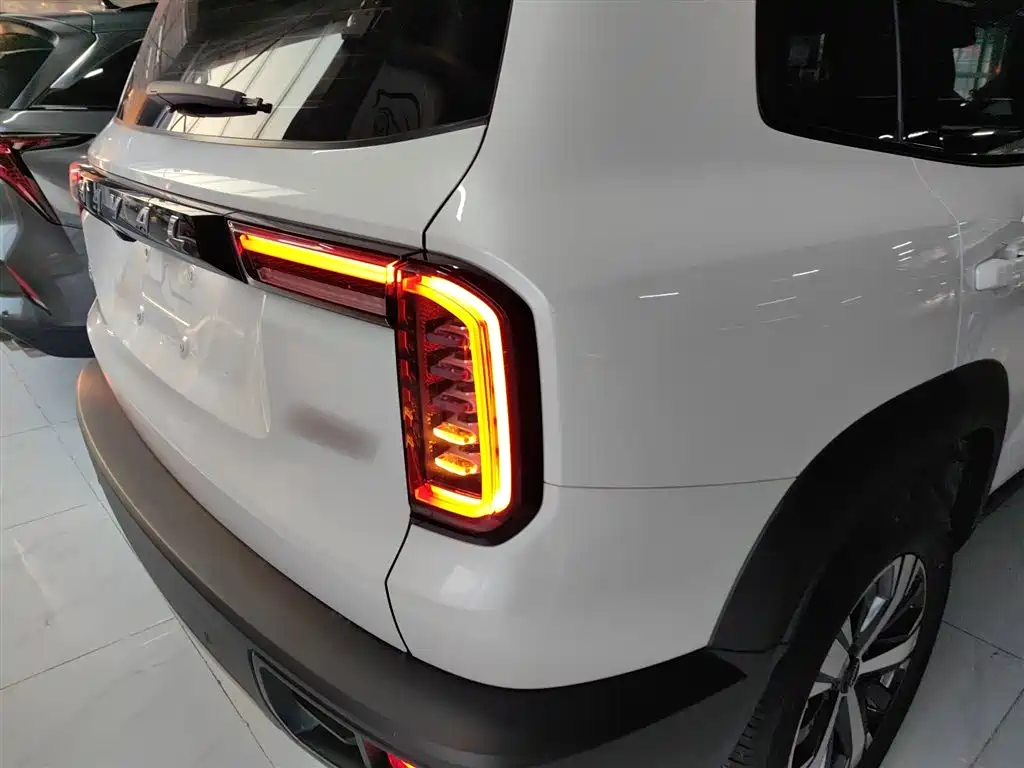 Haval Big Dog 2022 1.5T DCT FWD Labrador Edition фото 8
