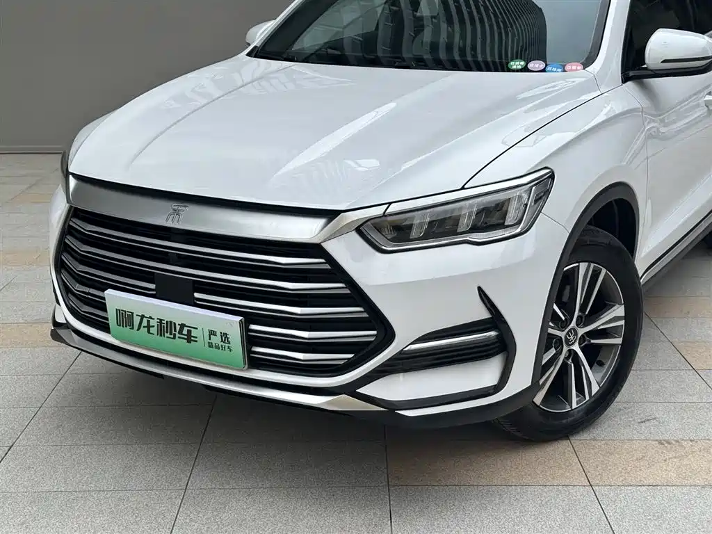 BYD Song Pro New Energy 2022 DM-i 51km Luxury фото 2