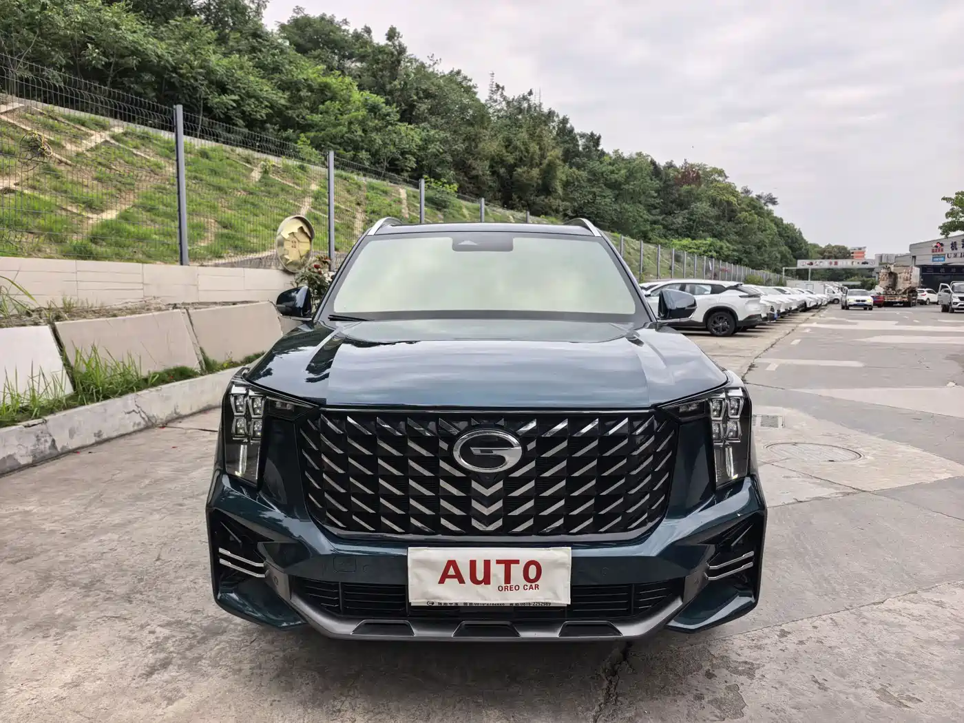 GAC Trumpchi Trumpchi GS8 2022 Pilot Series 2.0TGDI 2WD Premium Edition (7-Seater) фото 2