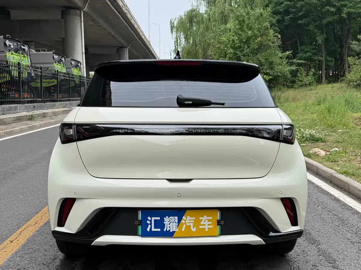 BYD Dolphin 2024 Glory Edition 420km Fashion Edition фото 4