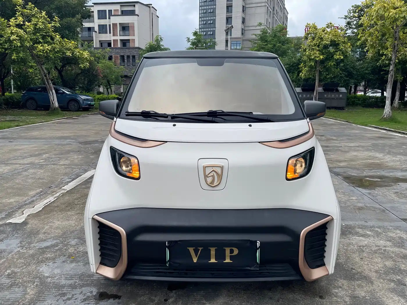 Baojun E200 2020 2020 305KM Smart Enjoyment Edition