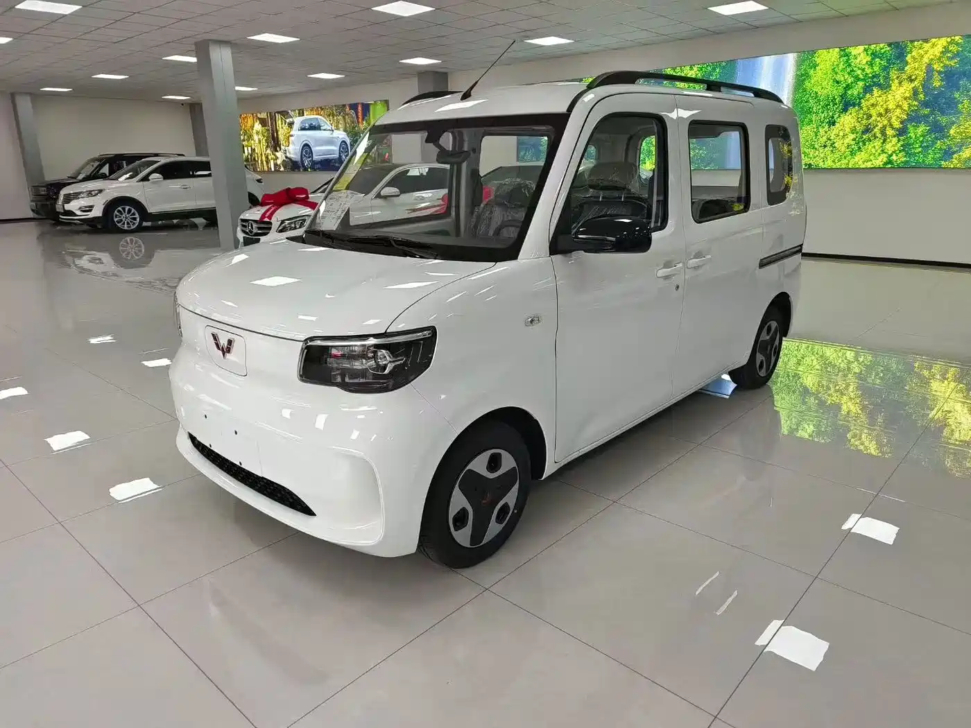 Wuling Motors Wuling Zhiguang NEV 2026 2025 Model 305km Base Version