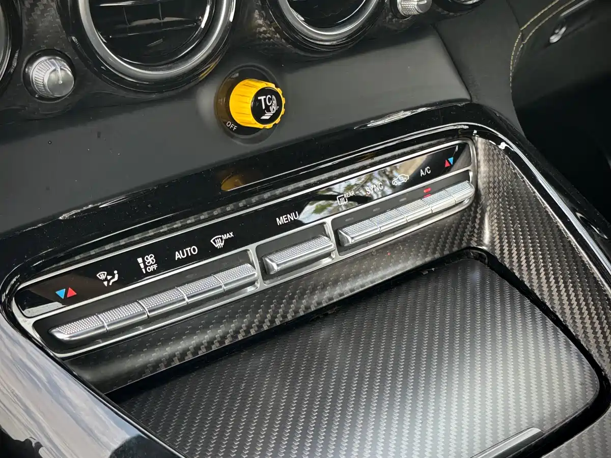 Mercedes-Benz AMG GT 2019 AMG GT R фото 11
