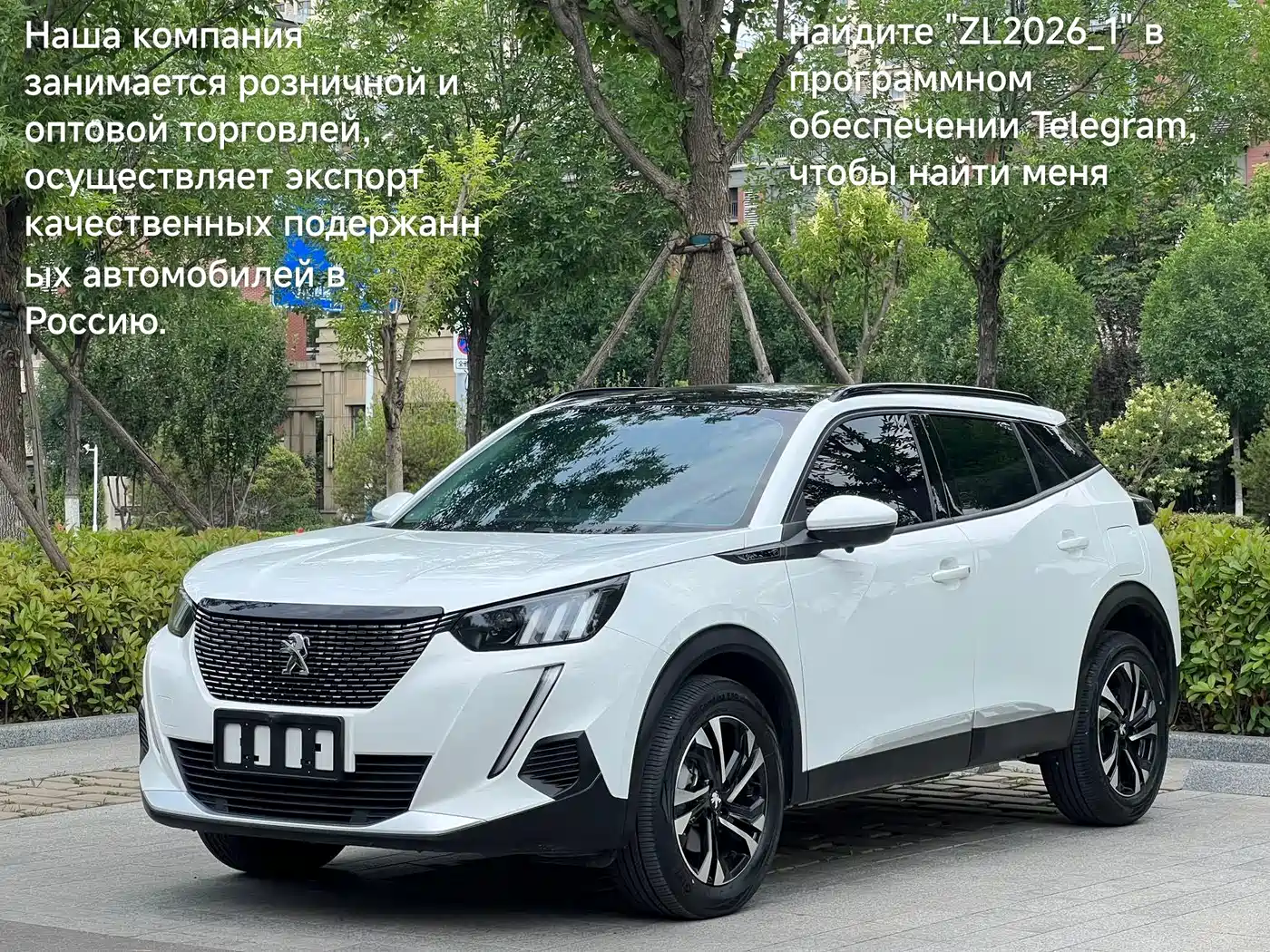 Peugeot 2008 2022 230THP THE ONE