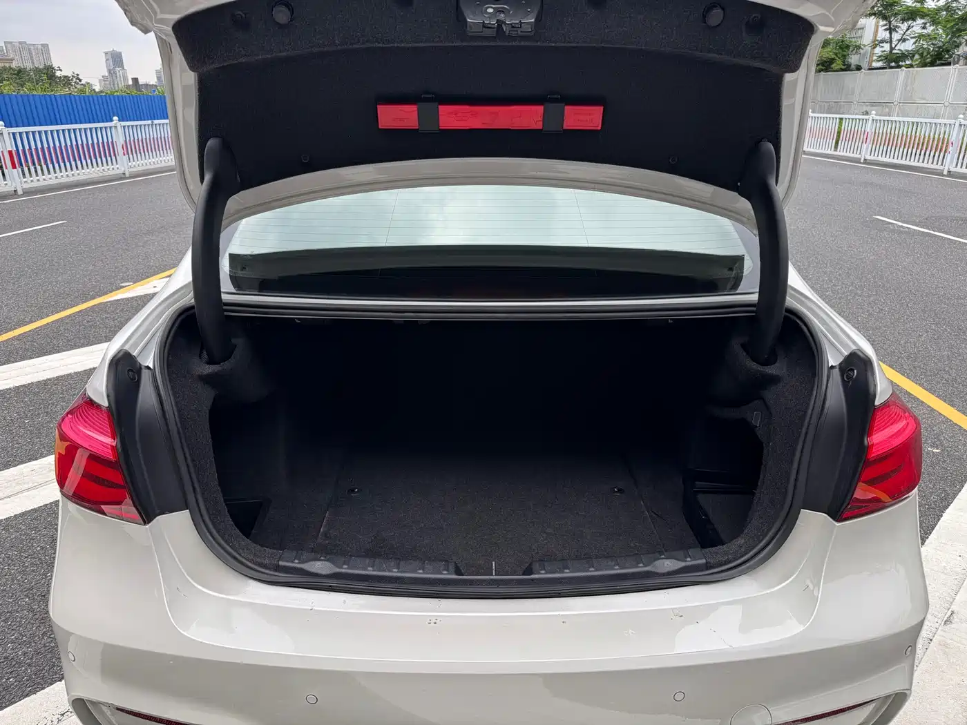 BMW 3 Series 2018 320Li Fashion Style фото 10