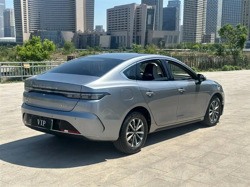 BYD Destroyer 05 2024 Glory Edition DM-i 55KM Luxury фото 6