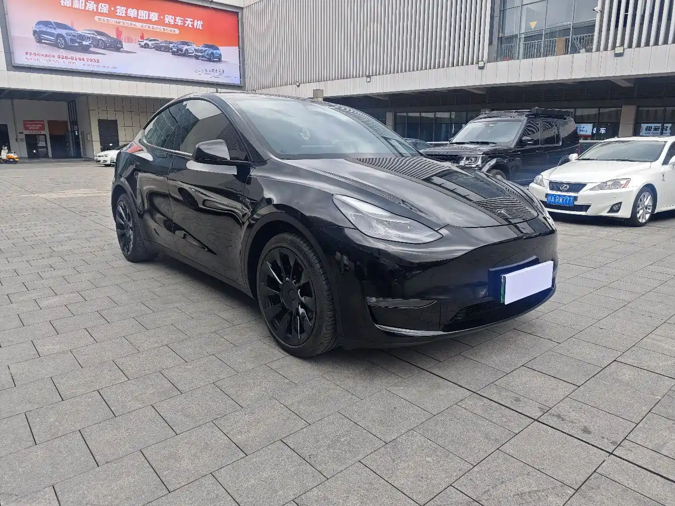Tesla Model Y 2021 2021 Long Range All-Wheel Drive 3D7