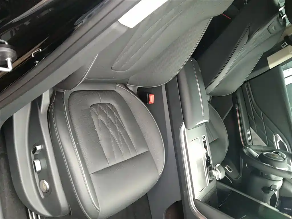 Hongqi HS7 PHEV 2024 2.0T PHEV 4WD Flagship Edition 6-seater фото 25