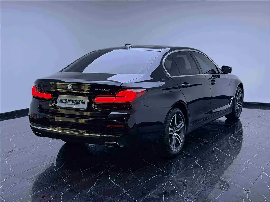 BMW 5 Series 2021 530Li Leading Luxury Package фото 4