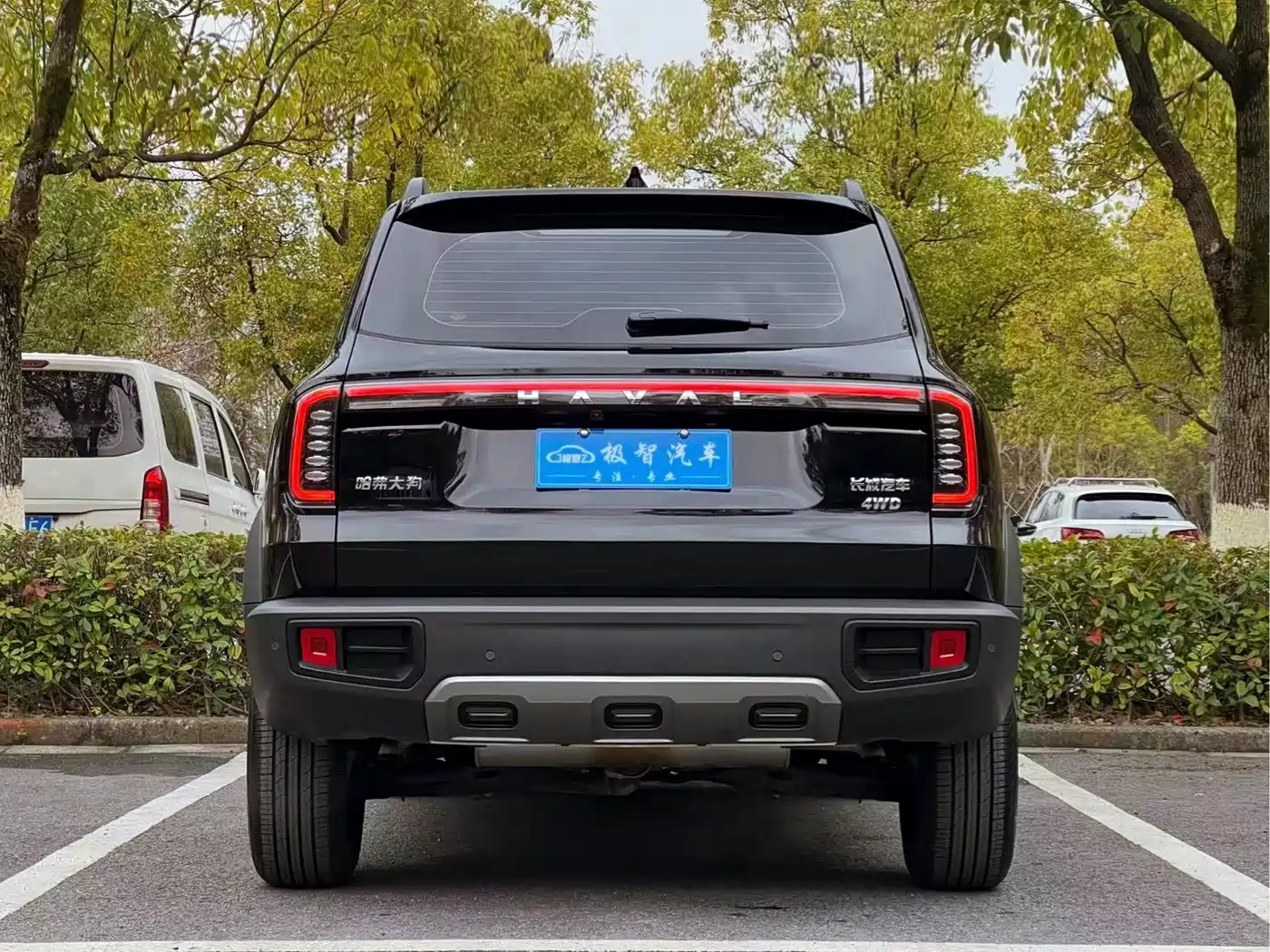 Haval Big Dog 2024 2.0T DCT Chinese Rural Dog Edition фото 6
