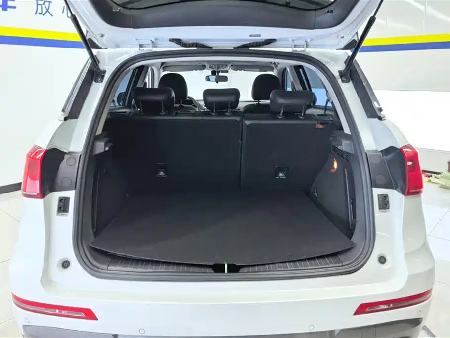 Haval H6 Coupe 2018 Blue Label 1.5T Auto 2WD Luxury Edition фото 4