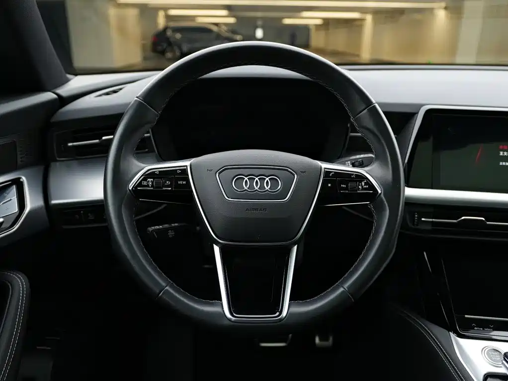 Audi Q6 2023 2024 45 TFSI quattro Qi Yun Flying Rider Package 6-seater