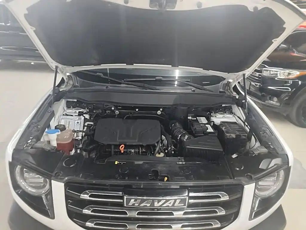 Haval Dargo 2021 2021 2.0T DCT AWD Howling Celestial Dog Edition
