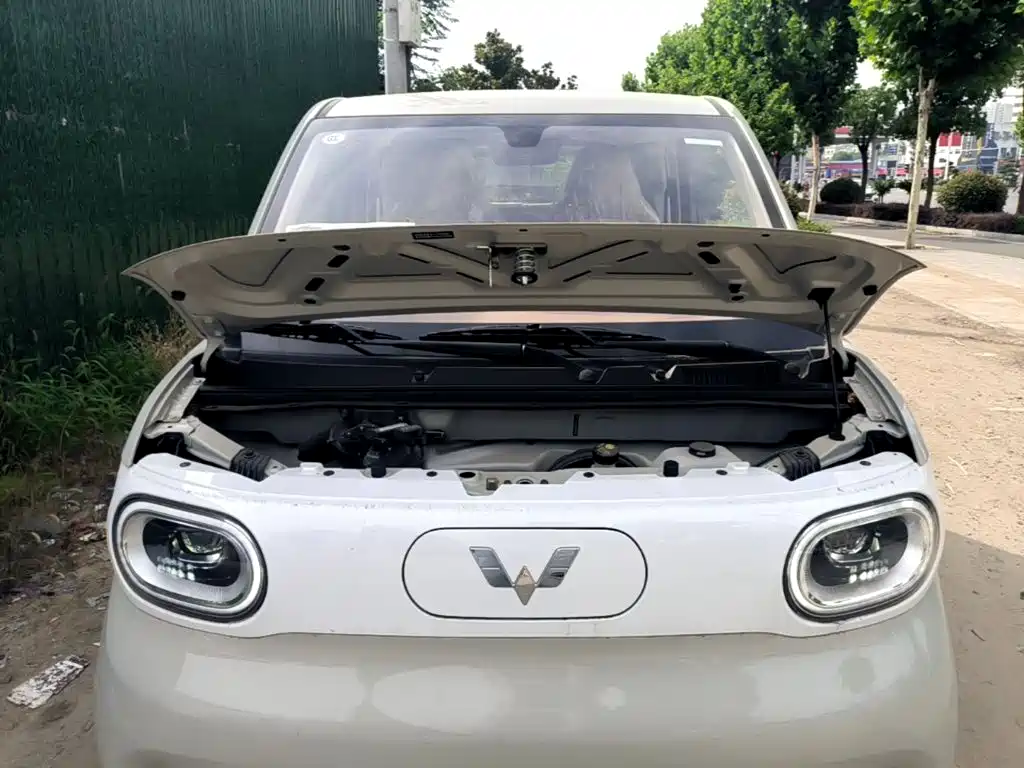 Фото 20 - Wuling Motors Hongguang MINIEV