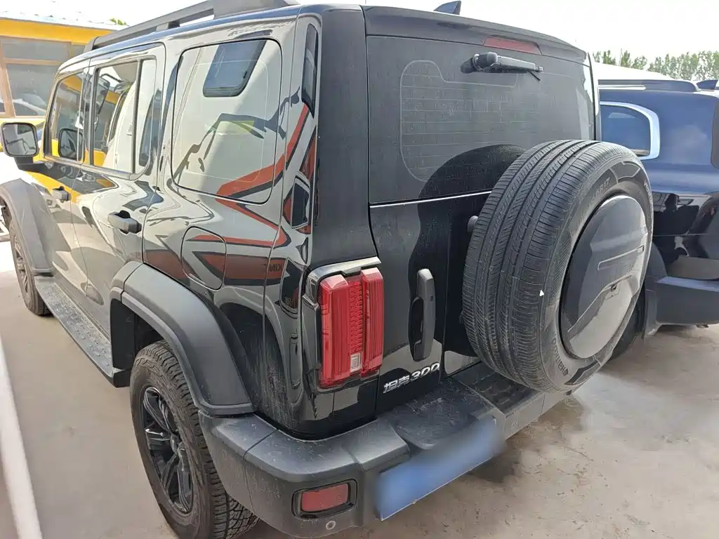 Tank 300 2021 2021 Off-road Version 2.0T Conqueror