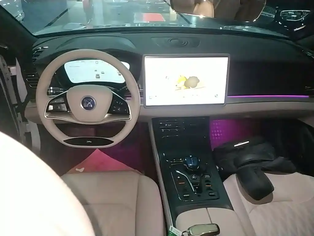 Photo 10 - BYD Han