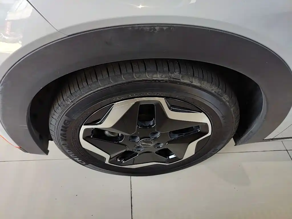 BYD Dolphin 2021 2021 Model 405km Fashion Edition