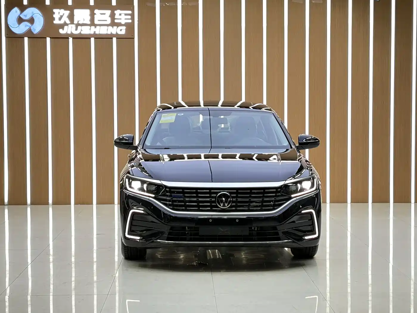 Volkswagen Passat New Energy 2025 430PHEV Hybrid Business Edition фото 2