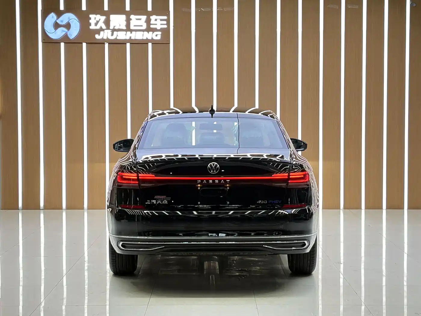 Volkswagen Passat New Energy 2025 430PHEV Hybrid Business Edition фото 5