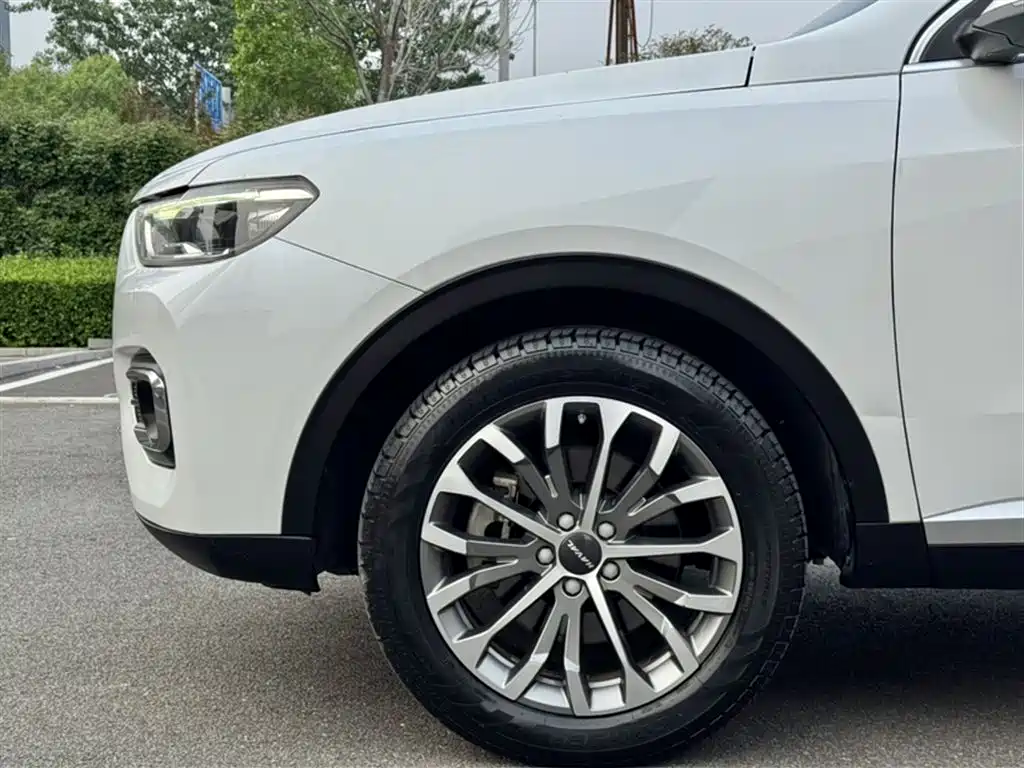 Haval H6 2020 1.5GDIT Automatic Platinum Champion Edition фото 23