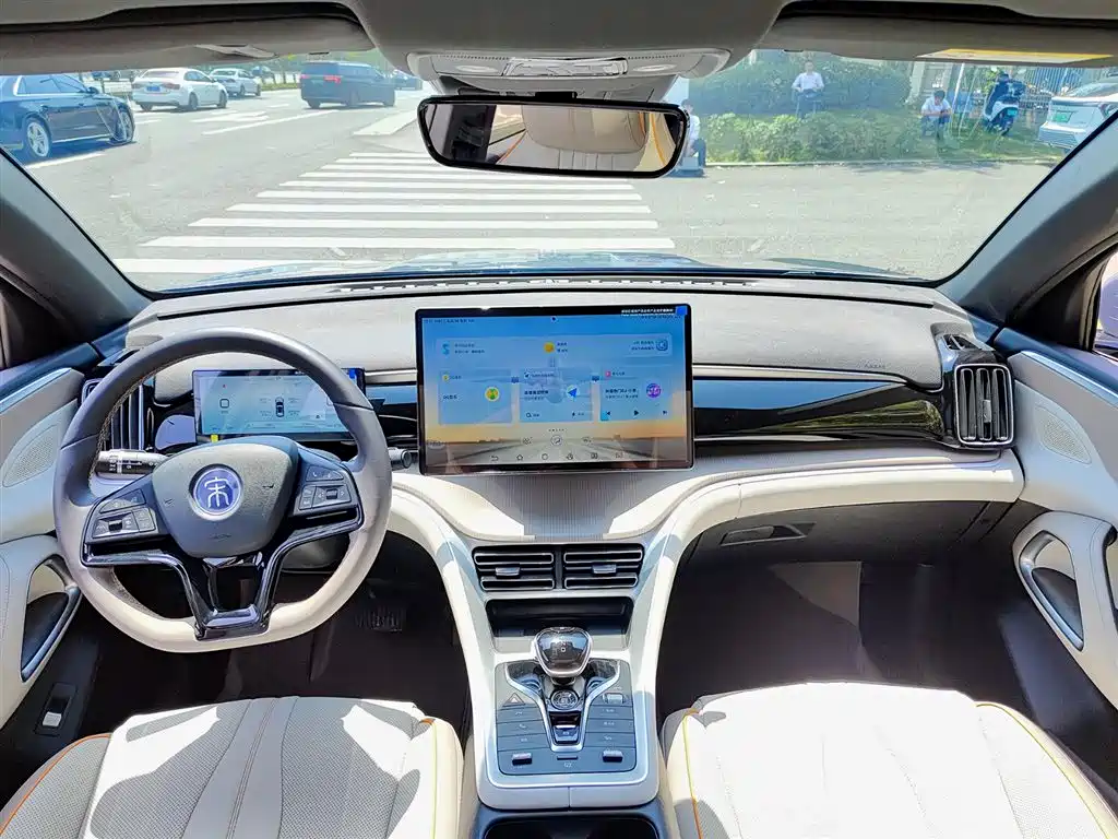 BYD Song Pro New Energy 2023 Champion Edition DM-i 110KM Excellence фото 10