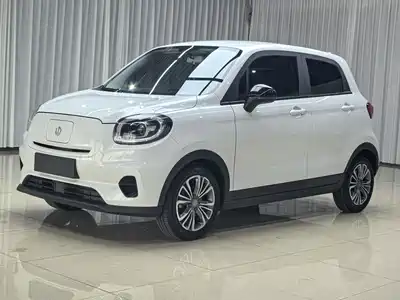 Leapmotor T03