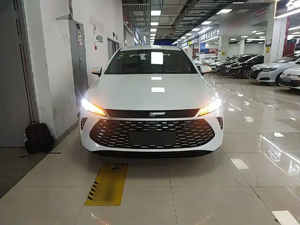 Фото 3 - BYD Qin PLUS