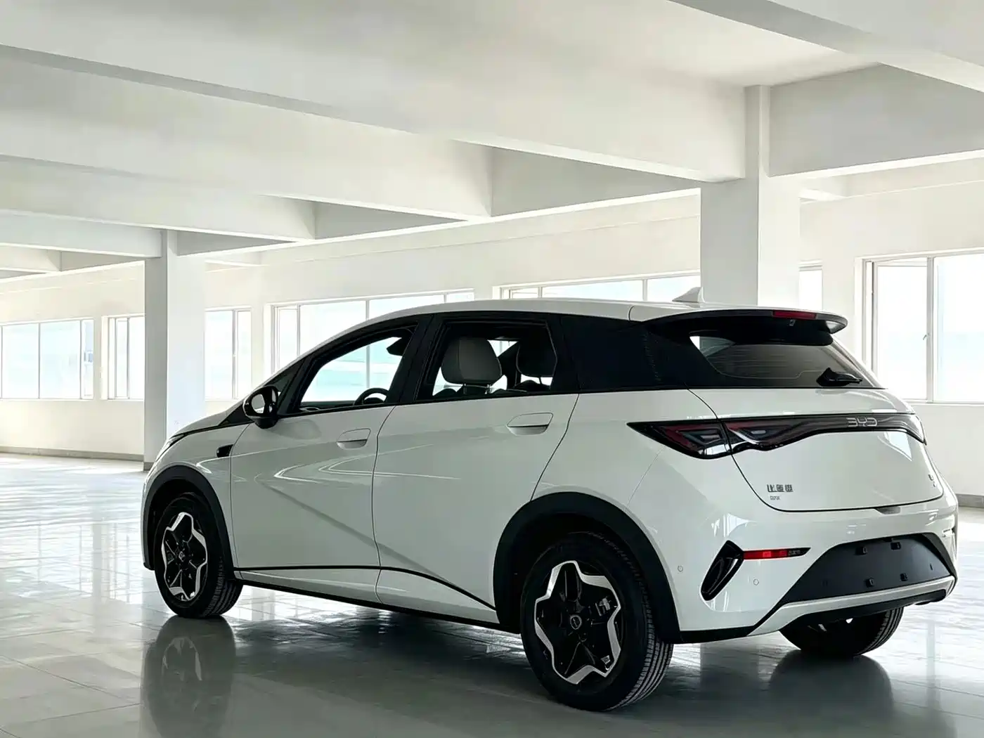 BYD Dolphin 2026 2025 Smart Drive Edition 420km Freedom Version