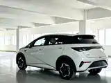 Фото 4 - BYD Dolphin