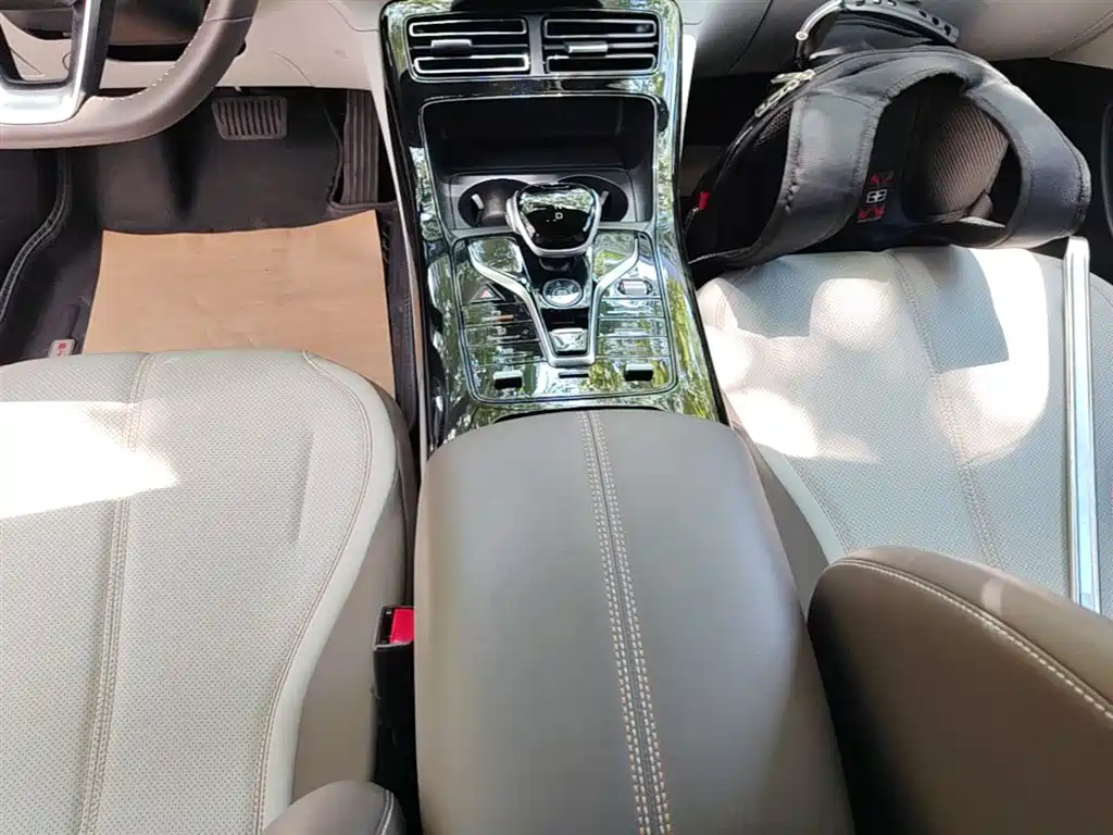 BYD Qin PLUS 2024 Glory Edition DM-i 55KM Leading фото 10