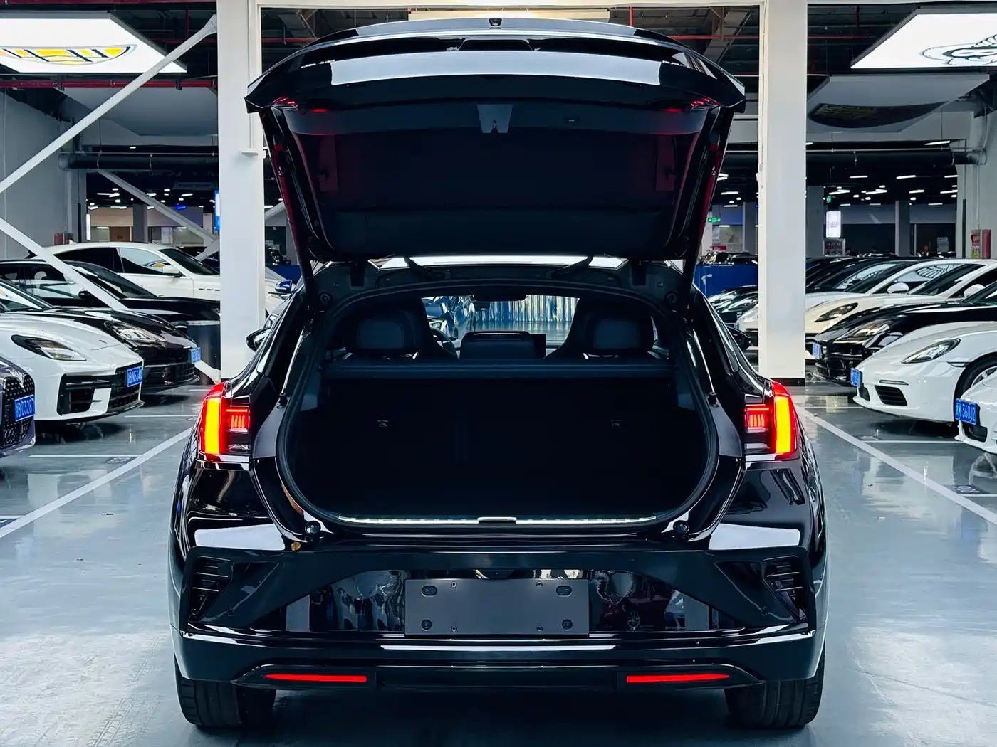 ZEEKR EXTREME KRYPTON 001