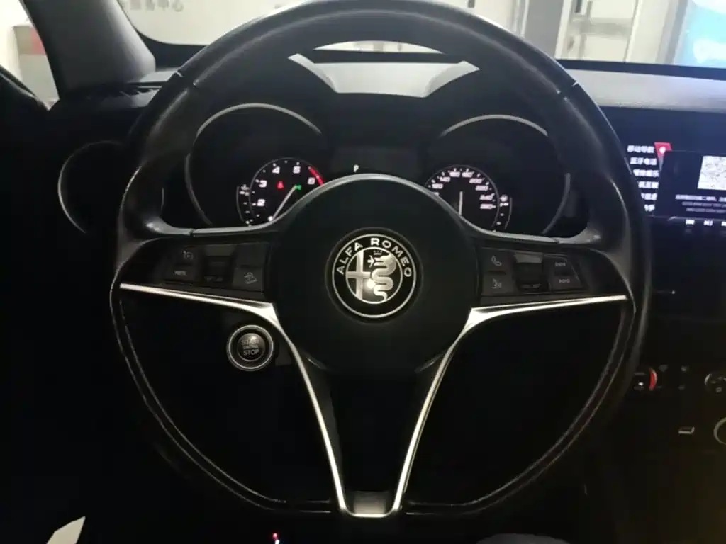 Alfa Romeo Stelvio 2019 2017 2.0T 200HP Elite