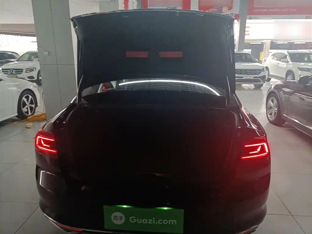 Volkswagen Magotan 2020 330TSI DSG Leading фото 16